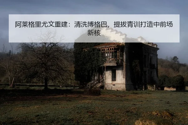 a-lai-ge-li-you-wen-chong-jian-qing-xi-bo-ge-ba-ti-ba-qing-xun-da-zao-zhong-qian-chang-xin-he-2-354.jpg
